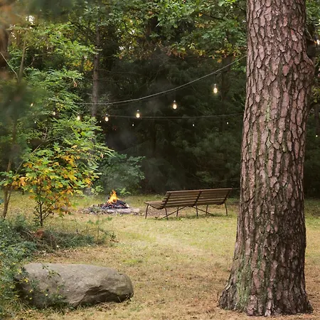 Pine House Pod Warszawa Jacuzzi, Sauna, Kominek, Grill, * Konstancin-Jeziorna